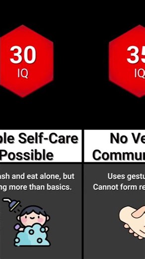 Your Brain According To Your IQ 🧠