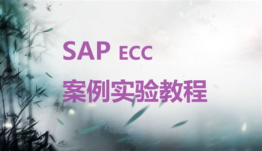 SAP ECC案例实验教程 缘起