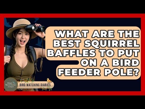 What Are The Best Squirrel Baffles To Put On A Bird Feeder Pole? - Bird Watching Diaries