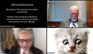 'I'm not a cat' - Lawyer left red-faced by Zoom cat filter on call with judge - Extra.ie