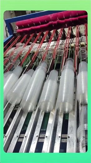 The process of collecting used plastic cups for sorting, recycling, and reuse in an efficient waste