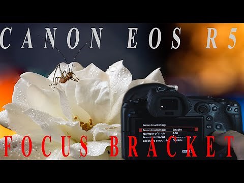 Canon R5 - Focus Bracketing and Macro Photography - Review