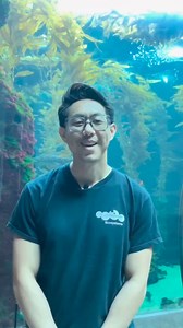 2K views · 28 reactions | It's National Zookeeper Week!  Meet Albert, one of our aqua-awesome Aquarists at the California Science Center!  Go behind the scenes with Albert to learn about what it's like to be an Aquarist and his journey to becoming one at the Science Center. It takes a village to provide excellent animal care! Follow along this week as we highlight each of our Living Collections teams and all that they do for our animals.  | California Science Center | Facebook