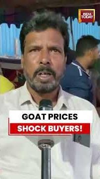 Bakrid 2026: Goat Prices Skyrocket In Telangana Amid Inflation #eiduladha #eid #bakrid #goat