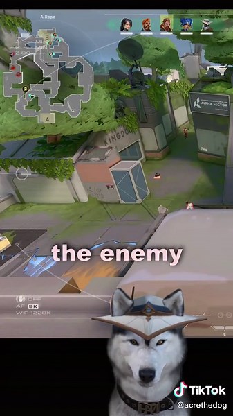 AcreTheDog on TikTok