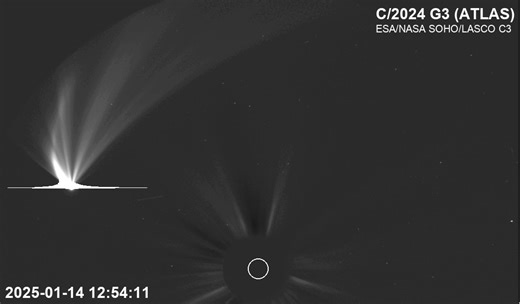 太陽観測衛星がアトラス彗星（C/2024 G3）の尾を鮮明にとらえた