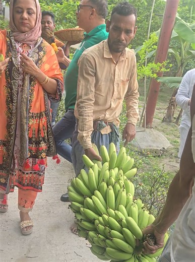 Top Tips for Growing Banana Trees