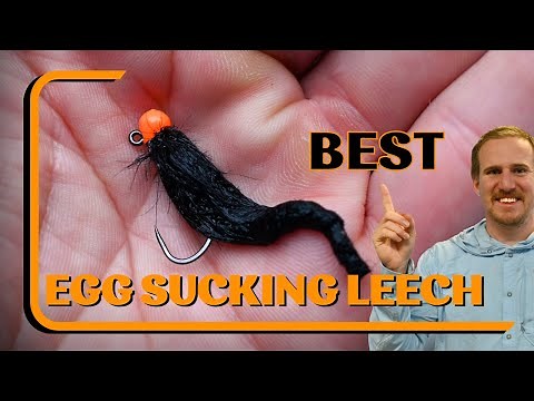Revamp Your Egg Sucking Leech: Fly Tying Tutorial with a Twist