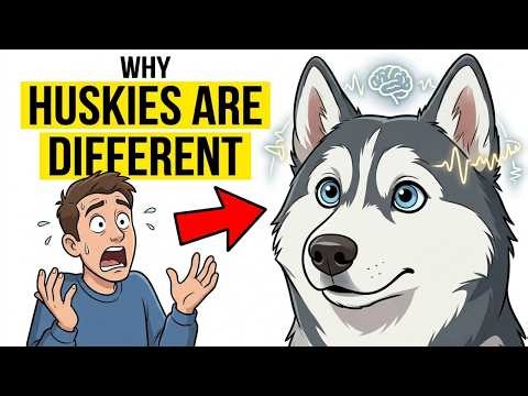 Same Ancestor. Completely Different Brain. The Genetics Behind Why Your Breed Acts That Way.