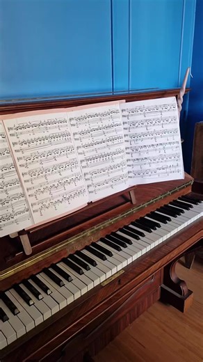 #schumann#intermezzo @Oracle_Mamma 💜✝️💜 @Brigitte @Christele @EL😎CANDO😎