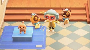 How to get pets in Animal Crossing: New Horizons
