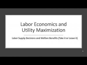 Labor Supply and Welfare Benefits: A Utility Maximization Problem