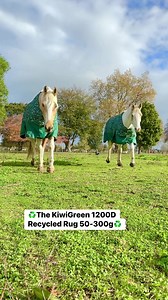 1.5K views · 52 reactions | Saddlery Warehouse on Reels | Facebook