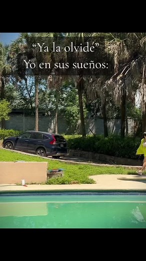 Alexp.araujo on TikTok