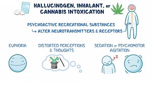 Video: Approach to hallucinogen, inhalant, and cannabis use, intoxication, and overdose: Clinical sciences - Video Explanation! | Osmosis