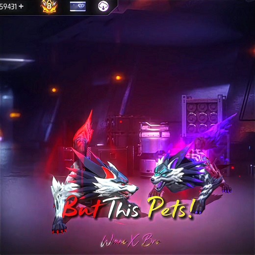 ALL PETS ARE OKY 🗿👺