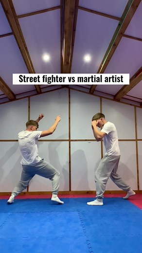 Street Fighter vs Martial Artist: Who Wins?