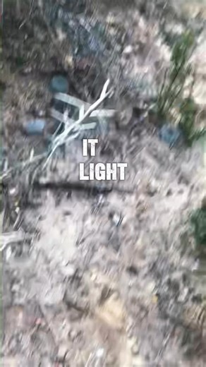 66 reactions | #thebeautywayofthefourdirectionssouthtexasnacthe #peyote #NAC #lophophorawilliamsii | Benito Villarreal | Facebook