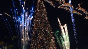 The Grove's iconic Christmas tree arrives ahead of annual tree lighting ceremony