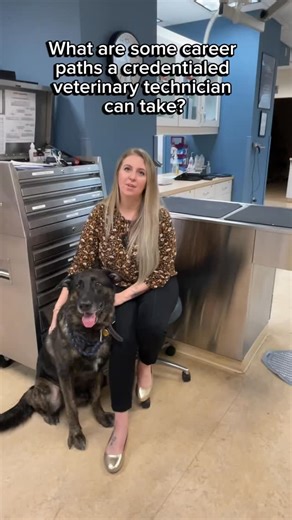 What are some of the career paths a credentialed veterinary techncian can take? Find out from East Valley campus Veterinary Technician Program Director, Brianna! 🐕🐈 🦜🐀 #VeterinaryTechnicianWeek #VeterinaryTechnician #VetTech #PimaMedical #PimaPride #VeterinaryMedicine #VeterinarySchool | Pima Medical Institute