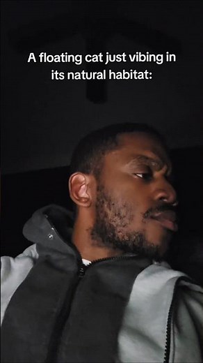 Mew and Mewtwo | Pokémon: The First Movie - Mewtwo Strikes Back: #pokemonmovie #pokemontheseries