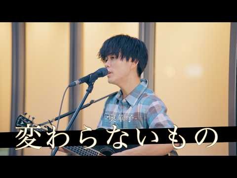 【歌詞付】真っ直ぐな歌声で想いを届けるピュアボイスシンガー 変わらないもの / 奥華子【新宿路上ライブ-26.6.10】by 友貴