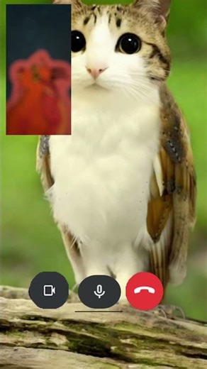 Mickey Mouse and cat told on me owl to alien dog