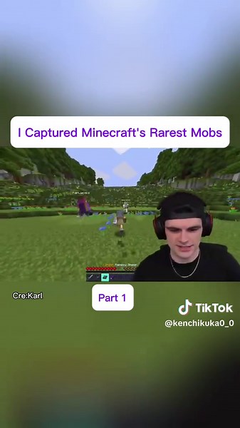 Minecraft's Rarest Mobs Unveiled