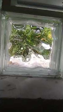 How to Remove/Install Glass block window M Beach House part 4 finish product