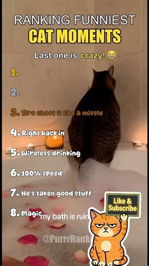 Ranking the FUNNIEST Cat Memes 😹🐈 (Grumpy Cat) #cats #funnycats #shorts #memes