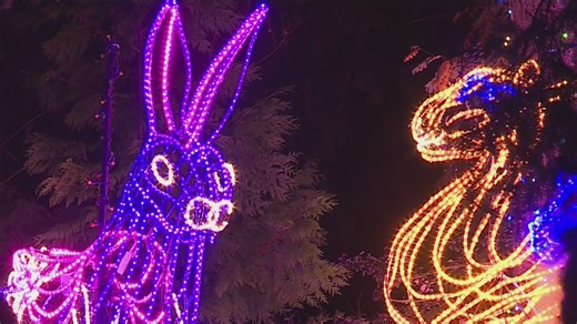 Zoo Lights preview lights up at Oregon Zoo