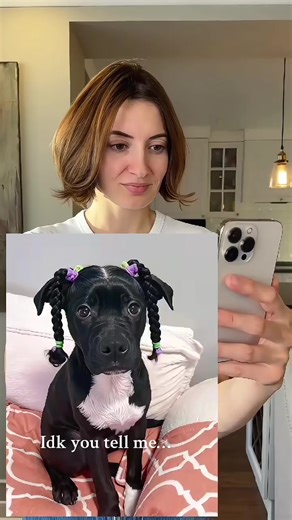 Cómo crear el efecto viral de 'perros que se parecen a sus dueños'