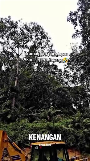 Operator Backhoe: Memorable Moments and Skills