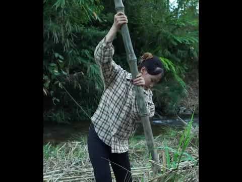 She Harvests Corn Alone to Protect Her Children A Single Mother’s Village Life