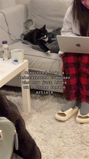 talitrexx (@talitrexx)’s video of Orchestra Conductor