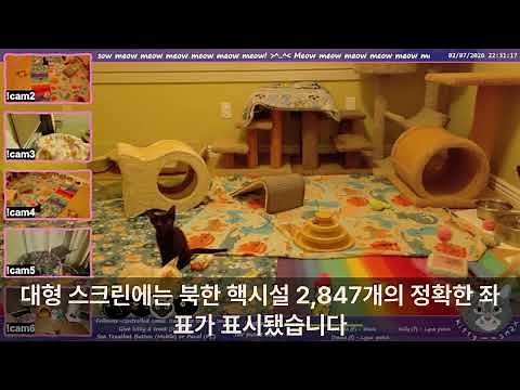 [해외감동사연]한국 핵기술 봉인해제, 한미 합의 앞두고 전세계 발칵 뒤집혔다 ㅣ감동사연