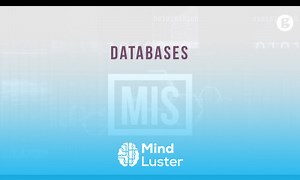 Mind Luster - Learn Databases