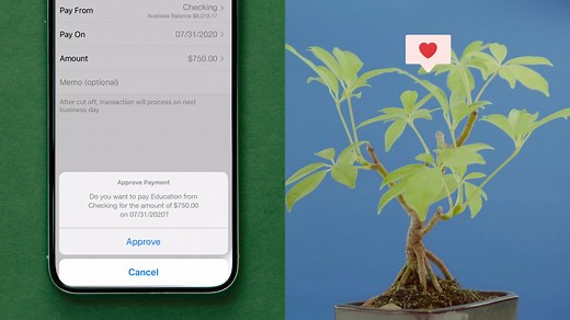 WesBanco Mobile Banking Overview