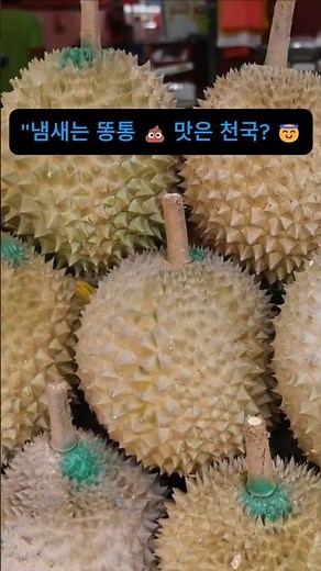 지옥과천국을 동시에 경험할수있는 과일 두리안