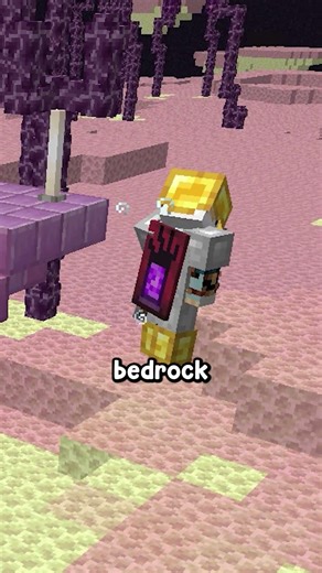 minecraft shields explained fast