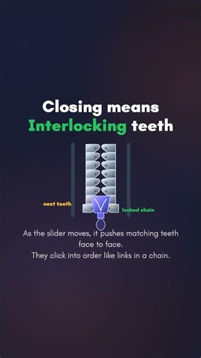 How Does a Zipper Work? | WhyDaily