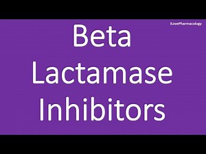 Beta Lactamase Inhibitors