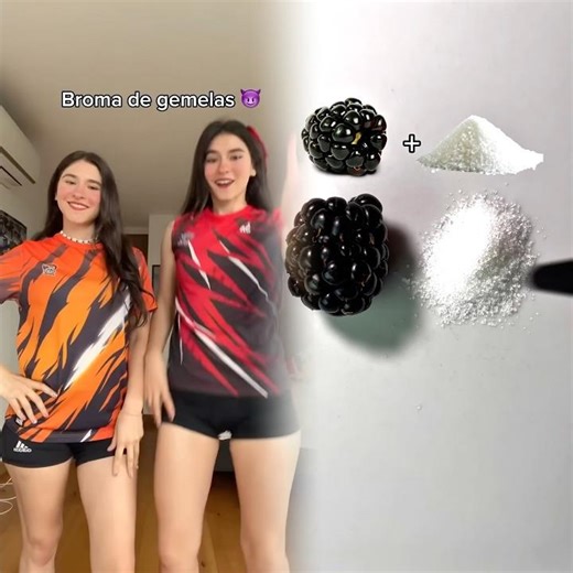 Haciéndonos pasar por la otra 😈 #SummerKamp2024 #broma #gemelas #juegodegemelas #intercambiarse