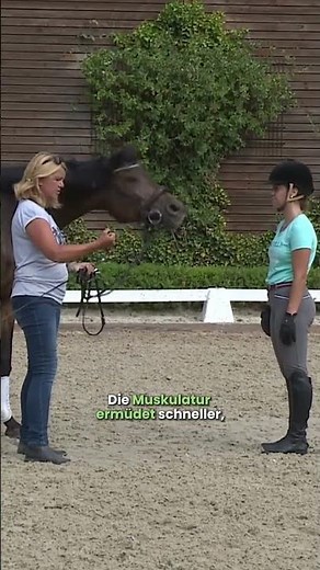 Slower trot ≠ better trot. 🐎