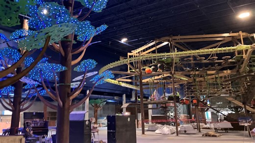 Florida is getting its first Great Wolf Lodge. What to know about the water park resort