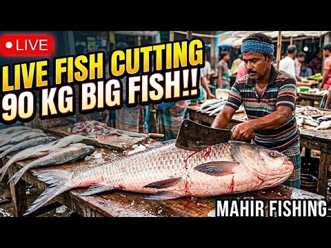 Watch the incredible skill of processing 90kg of fish in record time