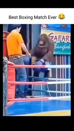 ANICUTSX | 𝒲𝑒𝒷𝓉𝑜𝑜𝓃 𝑅𝑒𝒶𝒹𝑒𝓇 on Instagram: "Don't miss the ending scene 😄 日本利用压电地砖将脚步能量转化为电力。这些地砖能捕捉行走时的动能。当人们经过时，重量和动作会对地面施加压力，导致地砖轻微弯曲并产生机械应力。瓷砖内部的压电材料将这种应力转化成电能。每一步释放的电量虽然较小，但当数百万脚步累积在一起时，就能产生足够的能量，为LED灯、显示屏和传感器供电。 #日本 #知识 #冷知识 #科学 #技术 你知道吗 推荐 创新 能源 未来 发电 压电技术 城市科技 可再生能源 绿色城市 节能科技 能源转换 科学知识 科技资讯 在像涩谷站这样的超级繁忙地点，每天约有240万次脚步为系统提供动能。这些电能可以被实时使用，也可以储存储备，从而减少对传统电力来源的依赖，推动城市绿色基础设施的发展。这种方式把日常行走变成真实可利用的能源，为未来智慧城市带来了可持续解决方案。"