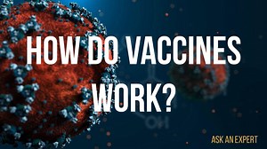 69 reactions · 24 shares | Wondering how vaccines keep us healthy? Vaccine expert Kathryn Edwards explains how vaccinations help fight off infections. | Vanderbilt University | Facebook