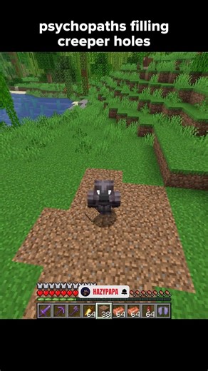 Minecraft players after the Creeper blows up