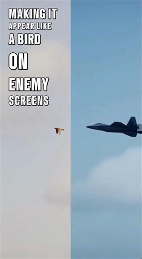 Why Radar Sees It as a Bird #shortvideo #shorts #aviation #fighterjet #militaryaircraft